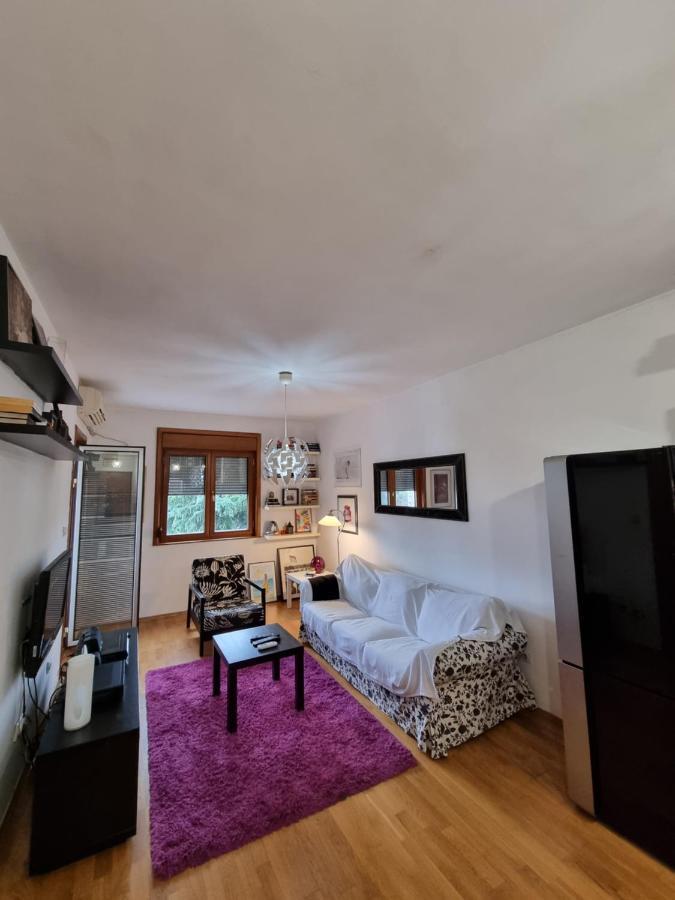 One Bedroom Centre Apartment Podgorica Exterior photo